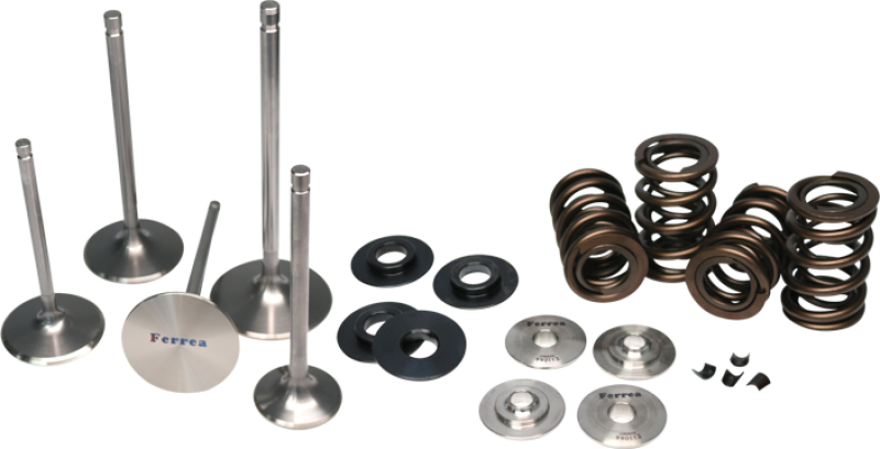 Evo 10 - Ferrea - 4B11T Dual Spring Kit