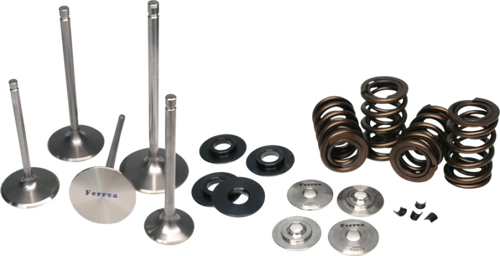 Evo 10 - Ferrea - 4B11T Dual Spring Kit