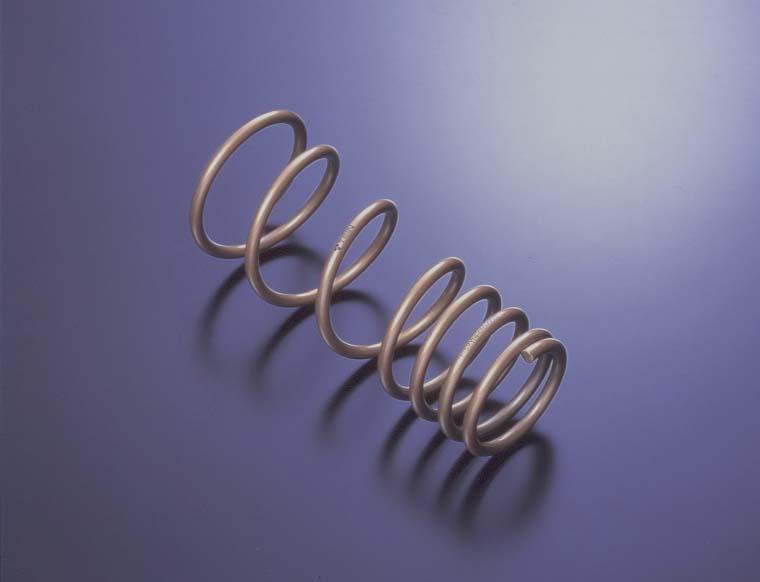 Evo 8-9 - Tein - non-MR H Tech Springs