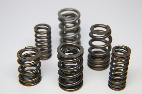Evo 8-9 - Ferrea - 4G63T Dual Valve Spring - Set of 16
