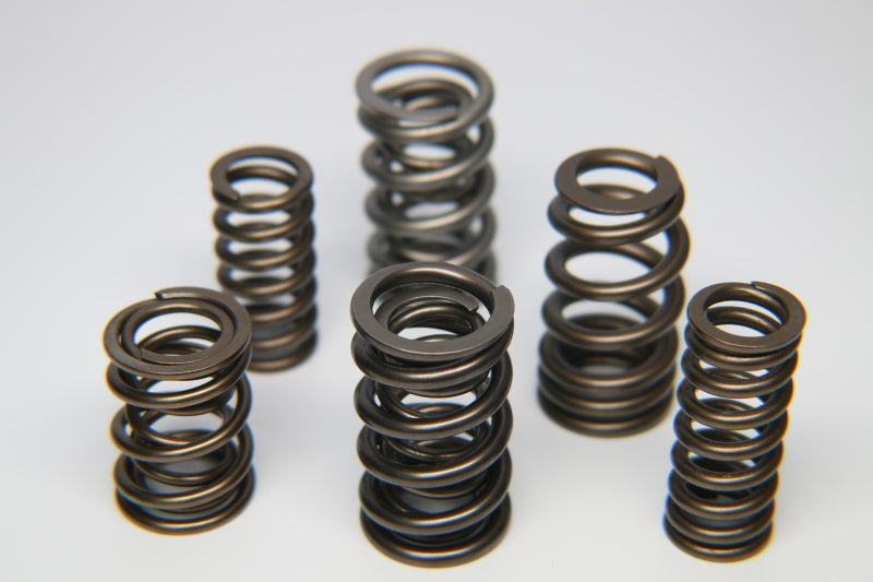 Evo 8-9 - Ferrea - 4G63T Dual Valve Spring - Set of 16
