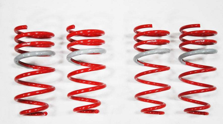Eclipse GSX 2G - Tanabe - DF210 Springs