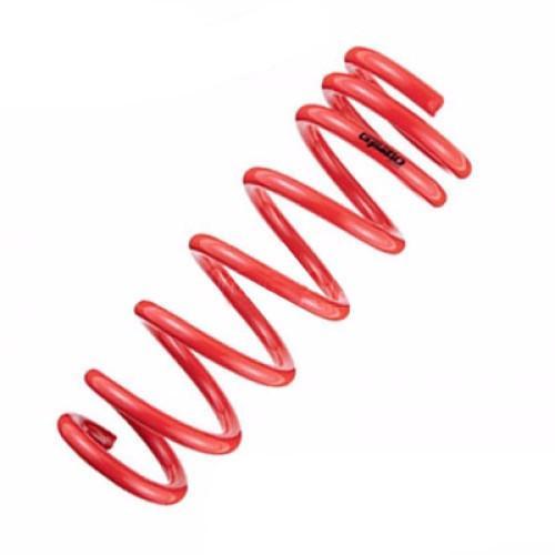 Evo 8-9 - Tanabe - GF210 Springs